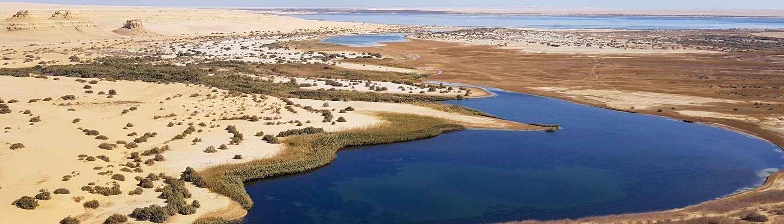 Fayoum Oasis: Discover Egypt's Hidden Gem | Fayoum Oasis Egypt
