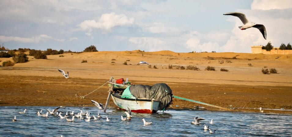5 Days Tour Package in Cairo and Fayoum Private Discovery Expedition