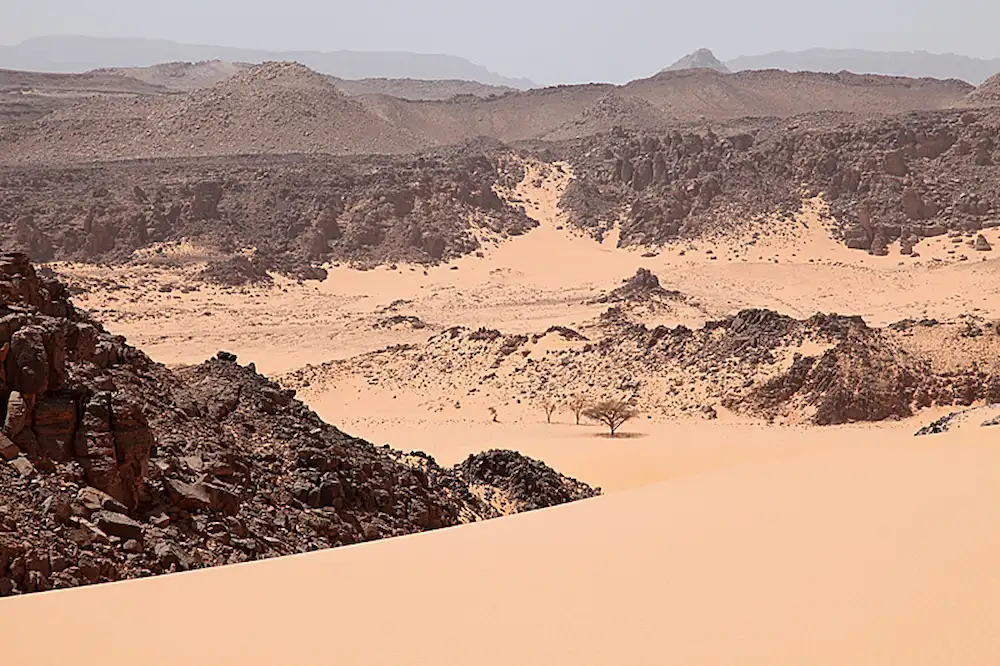 Gabal El Uweinat: Prehistoric Life at the Sahara's Edge