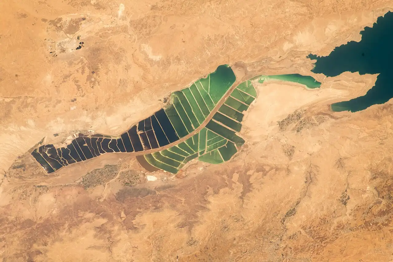 Gulf of Aqaba: Guide to History, Nature, & Red Sea Gateway