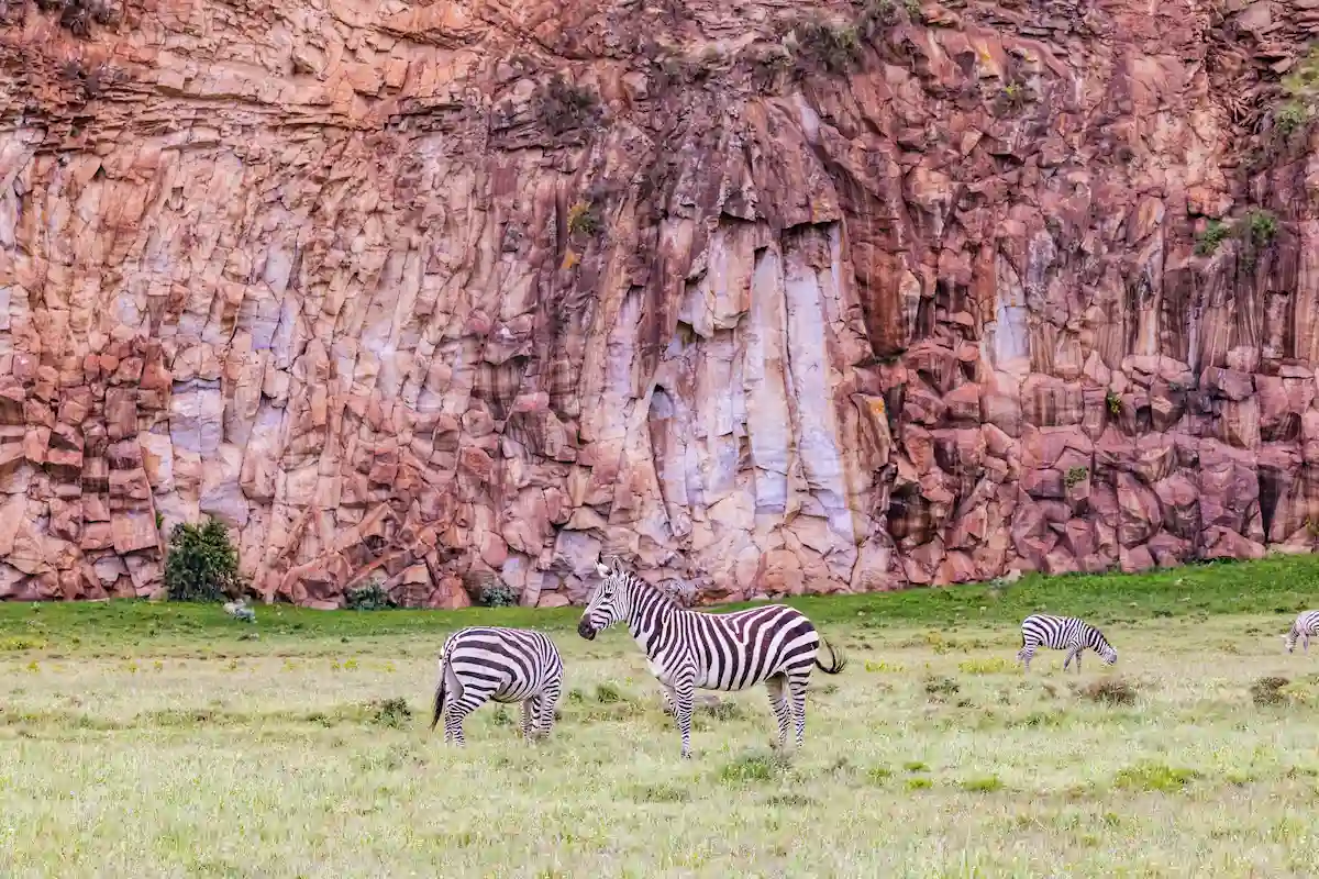 Hell’s Gate National Park: Luxury Kenya Wild Safari