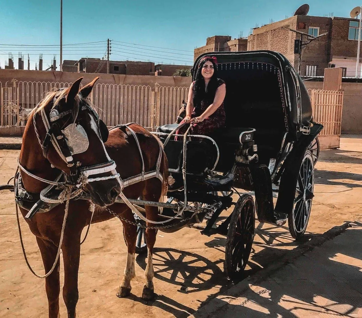 Authentic Aswan City Tour in Horse Carriage