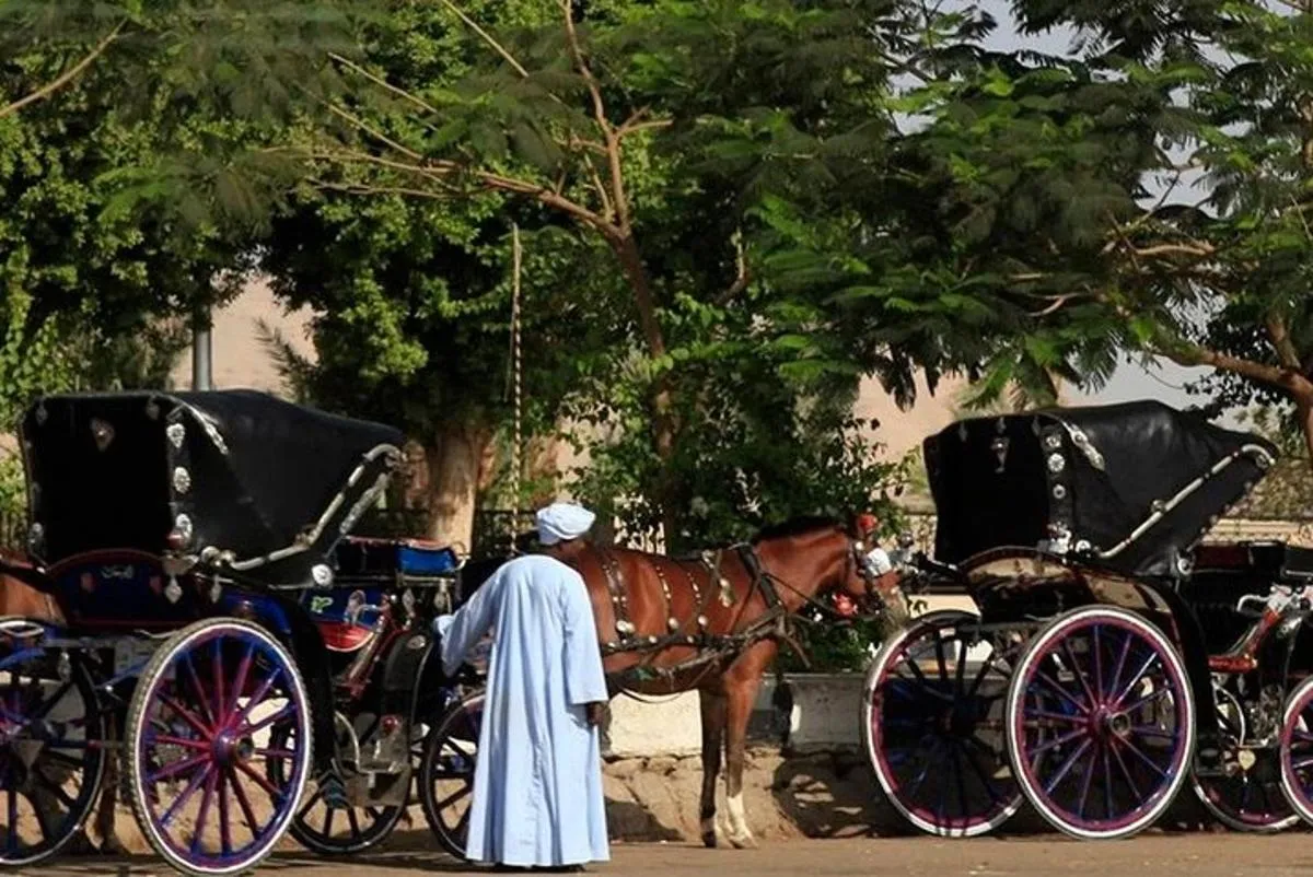Authentic Aswan City Tour in Horse Carriage