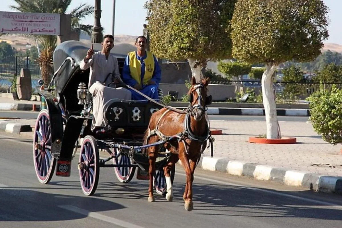 Authentic Aswan City Tour in Horse Carriage