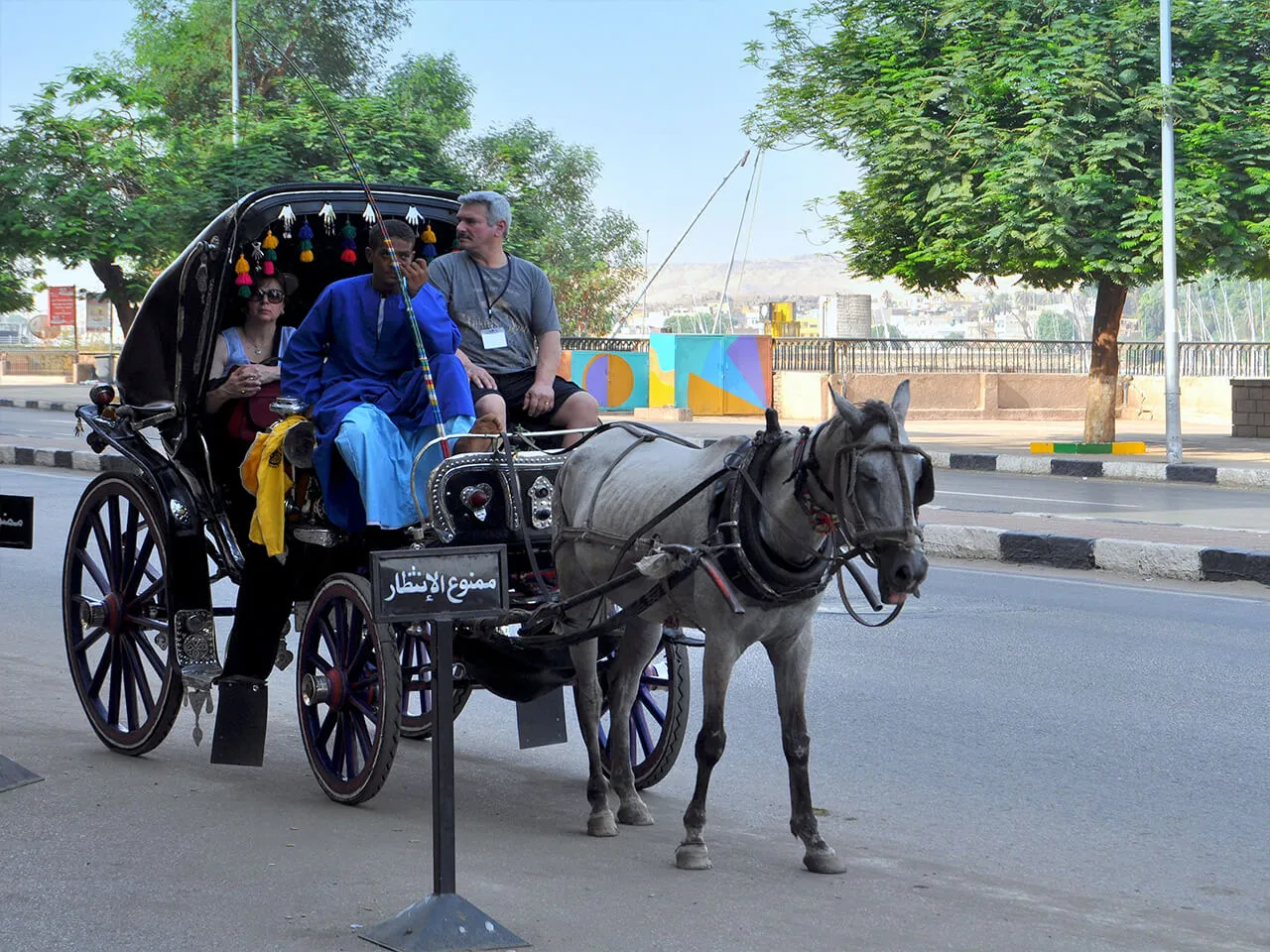 Authentic Aswan City Tour in Horse Carriage