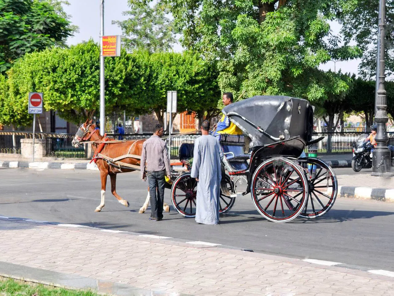 Authentic Aswan City Tour in Horse Carriage
