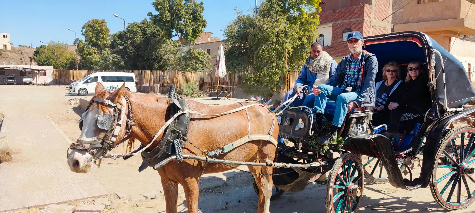 Authentic Aswan City Tour in Horse Carriage