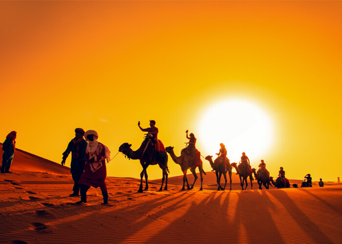 How to Enjoy Egypt Desert Safari Tours: A Guide