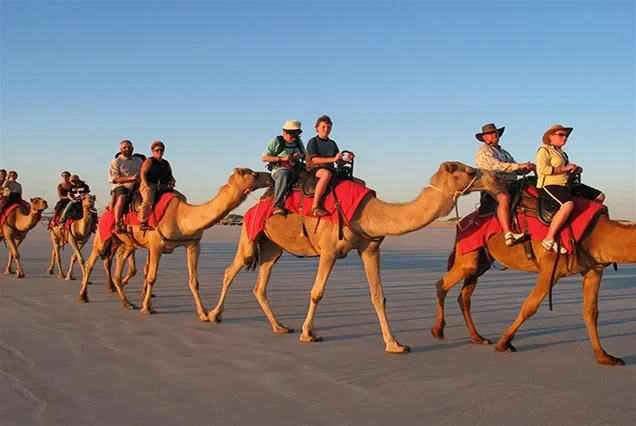 Authentic Private Luxor Camel Ride Experience