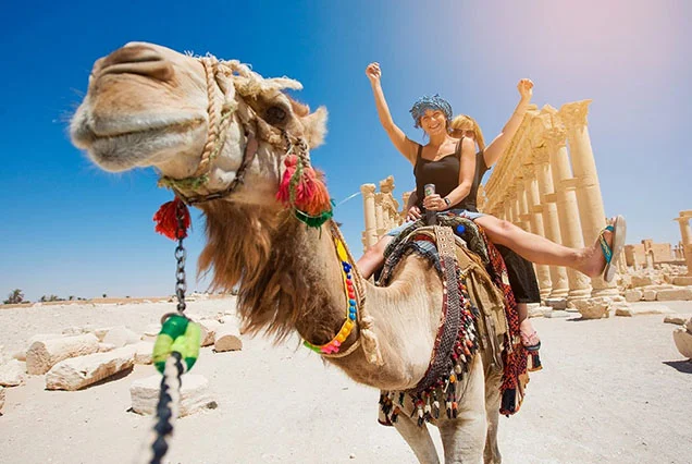 Authentic Private Luxor Camel Ride Experience