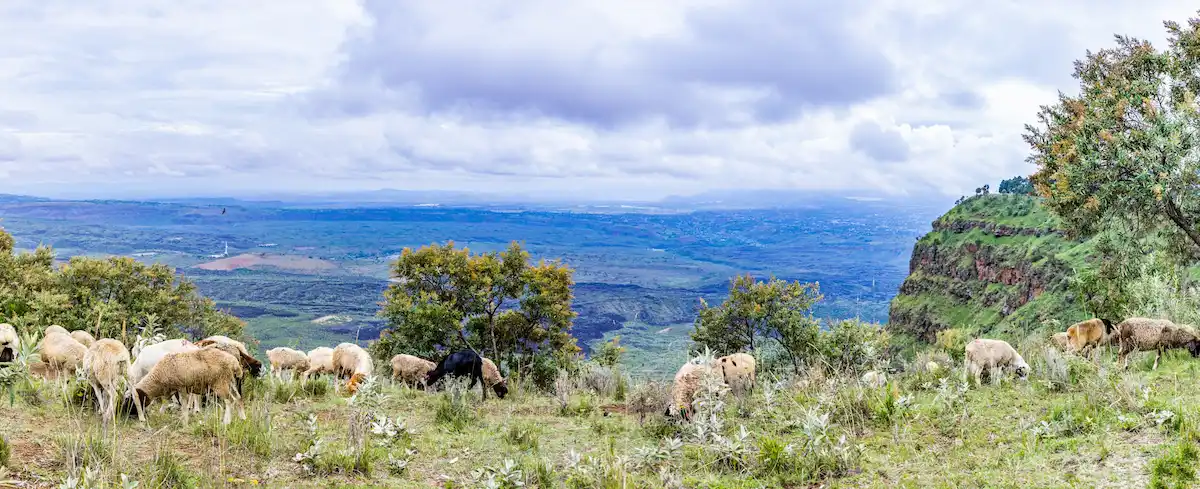 Menengai Crater: Luxury Safari & Great Rift Valley Guide