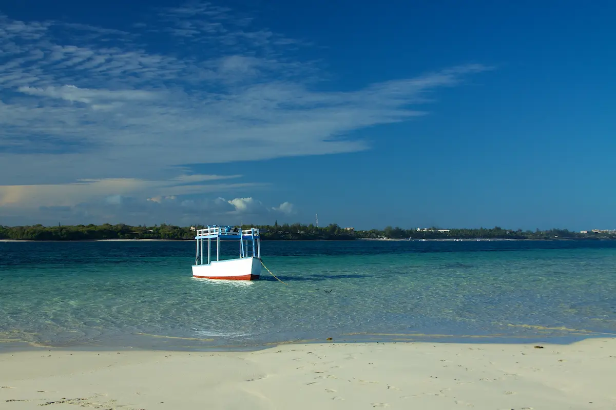 Mombasa Marine National Park Tour: Elite Coral Reef Safari