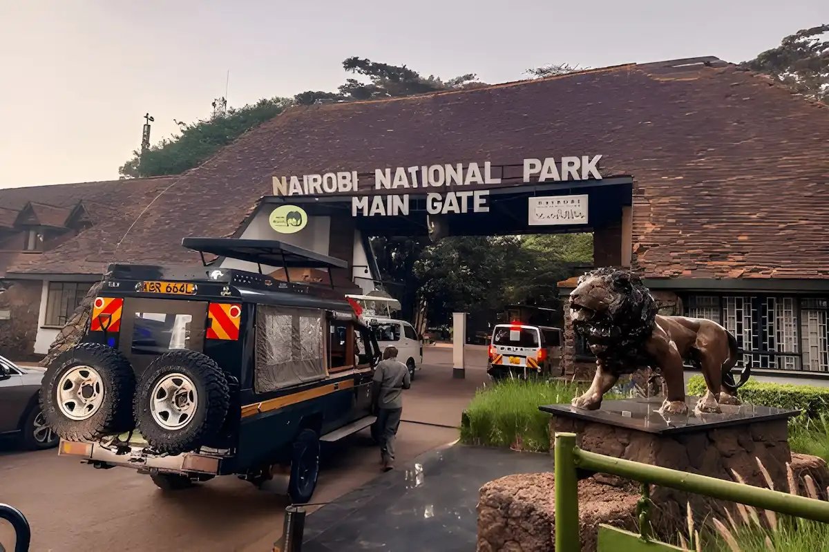 Nairobi National Park: Luxury Safari Guide & Day Trips