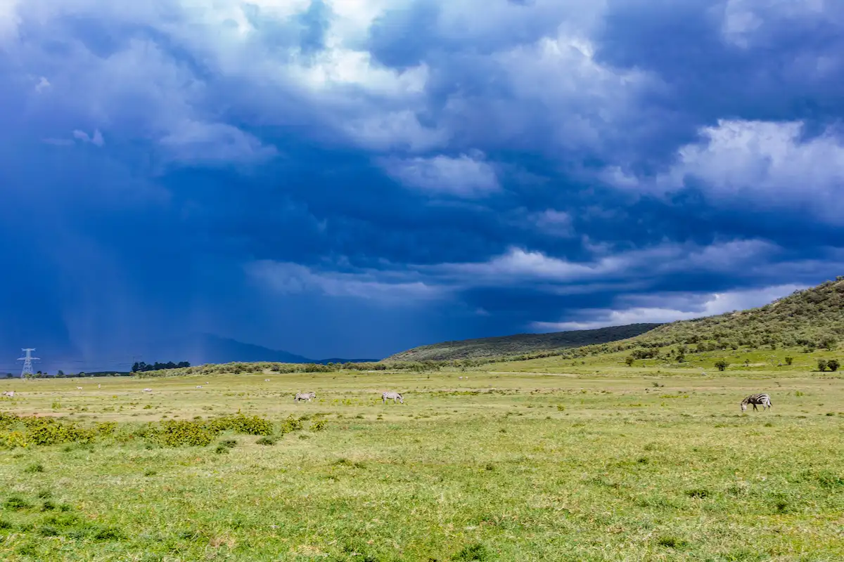 Naivasha: Premium Guide to Kenya’s Great Rift Valley
