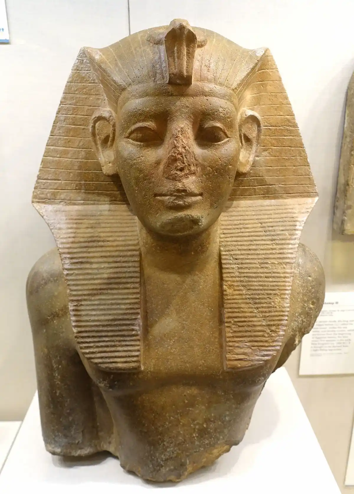 Neferhotep I: Thirteenth Dynasty Pharaoh & Revival King