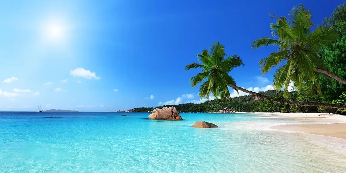 Shelly Beach, Mombasa: The Ultimate Quiet Coastal Escape