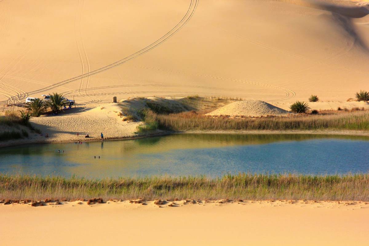 Siwa Oasis: Complete Guide to Egypt's Desert Jewel