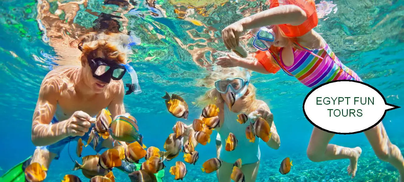 Snorkeling from Soma Bay: Red Sea's Best Coral Reefs