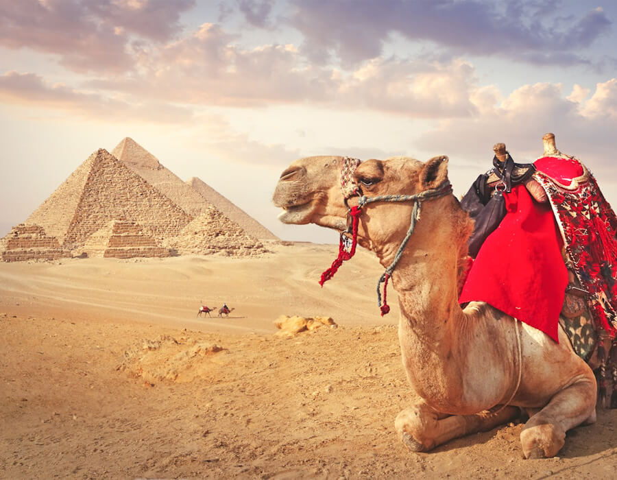 Trip To Egypt Cost & Average Cost of a Trip to Egypt