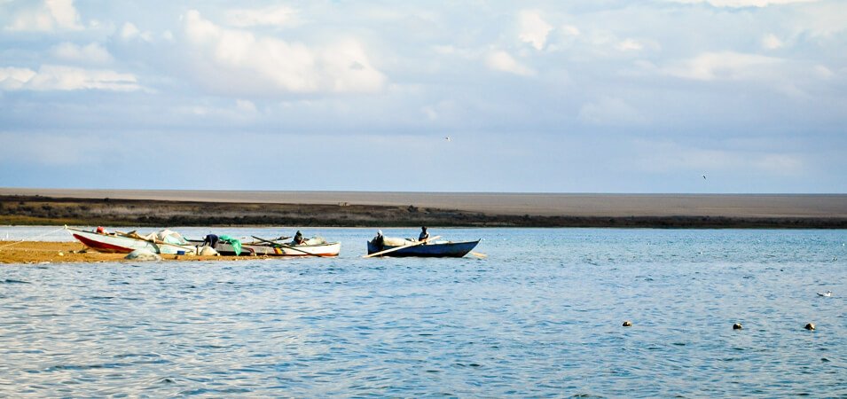 Premium Tour Alexandria to Fayoum Package