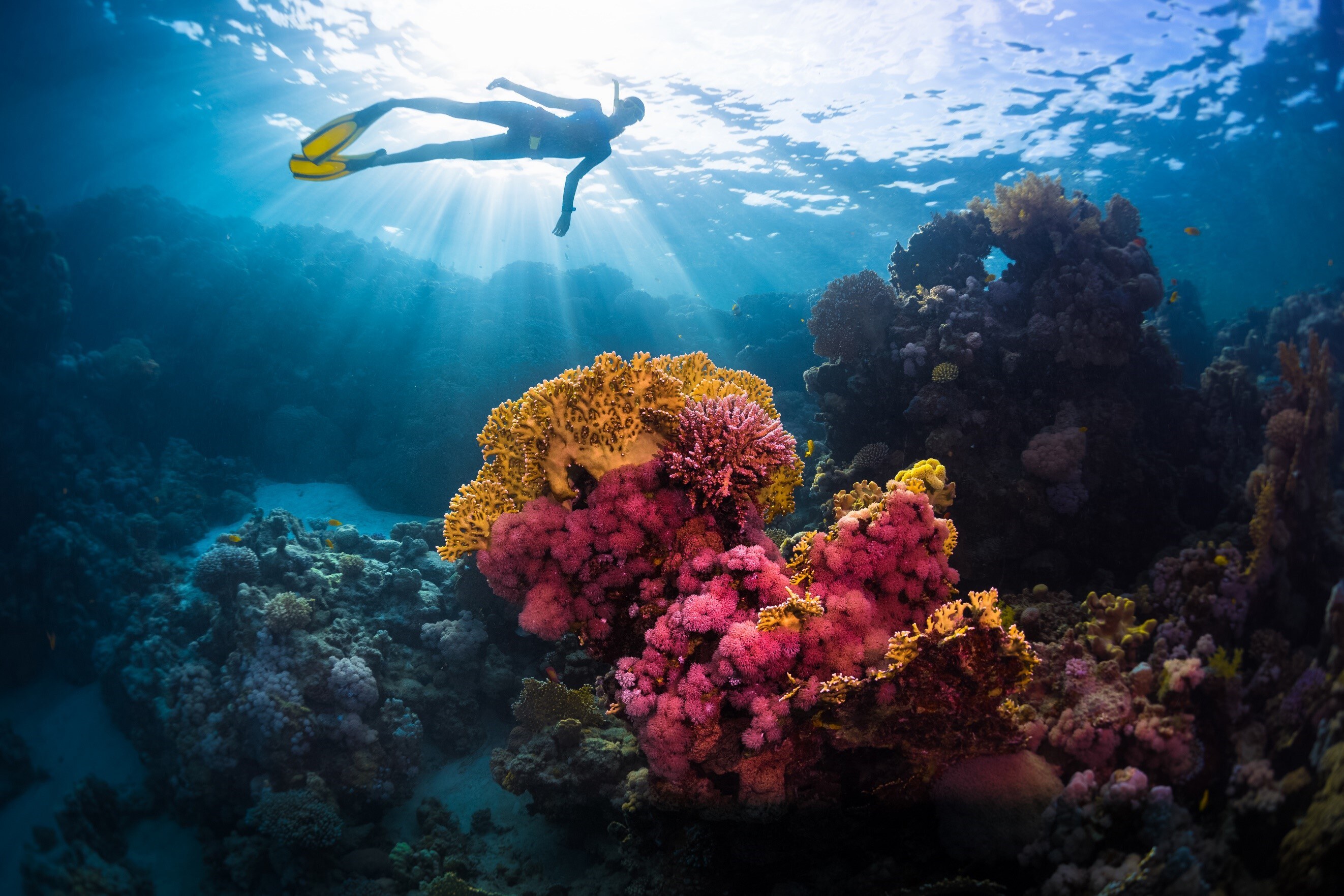 Hurghada Tours and Excursions