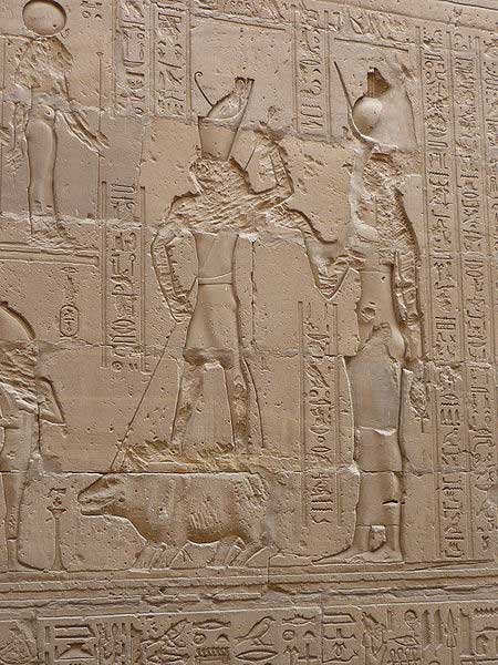 Horus e conjunto de luta