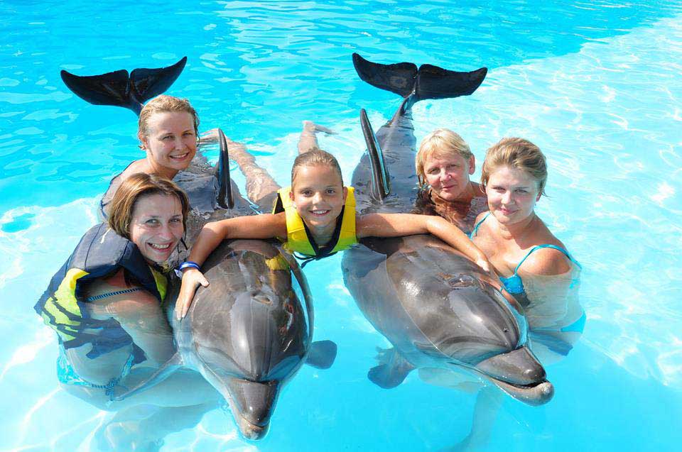 swimming with dolphins in Hurghada