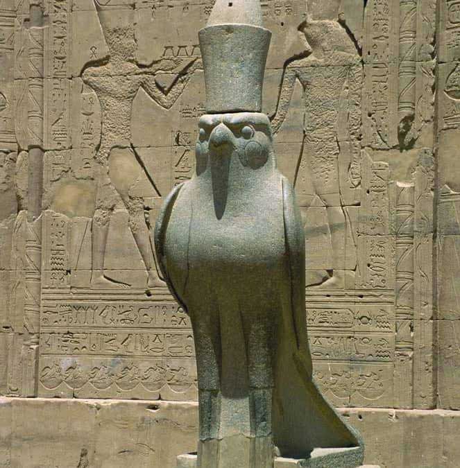 Horus o falcão
