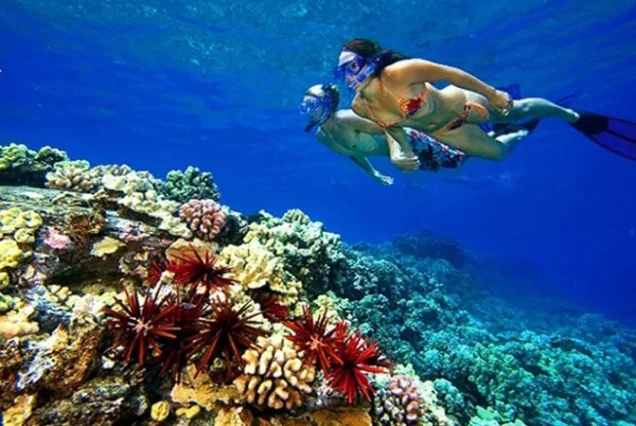 Two Days Trip to Aswan and Abu Simbel from Marsa Alam (3)