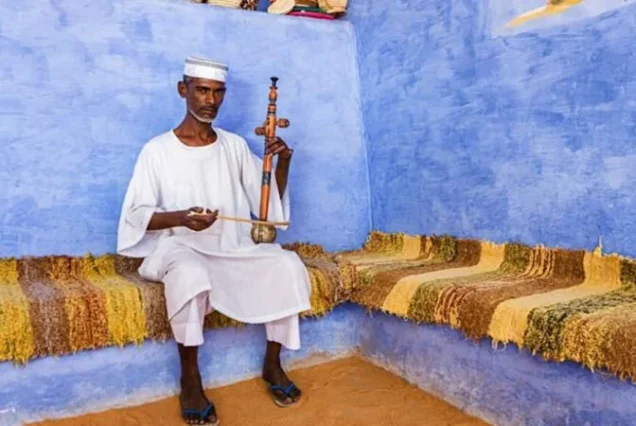 Tour de día completo a Asuán desde Luxor (3)