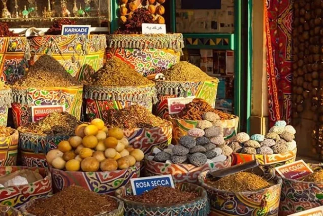 Tour de día completo a Asuán desde Luxor (4)