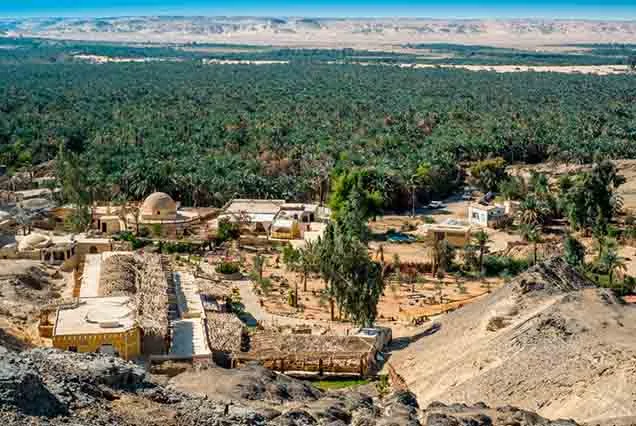 Day Tour to El Fayoum from Cairo (3)
