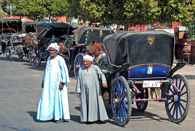 Luxor City tour by Horse Carriage (6)