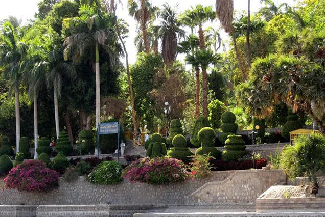 Private day tour to The Botanic Gardens and Botanical Museum (2)