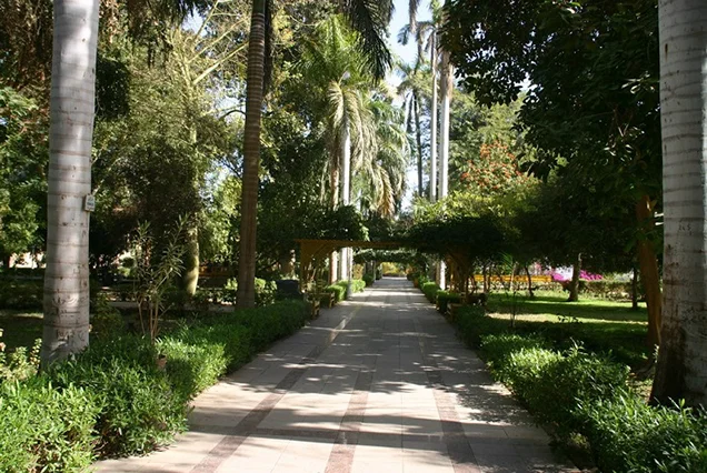 Private day tour to The Botanic Gardens and Botanical Museum (3)