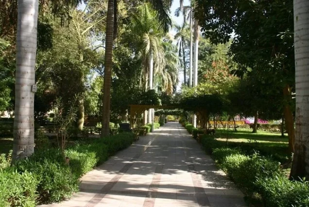 Private day tour to The Botanic Gardens and Botanical Museum (4)