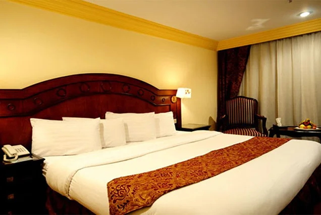 Queen of Hansa Nile Cruise (2)