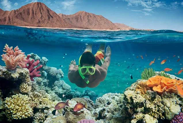 Scuba Diving Sharm El Sheikh (2)