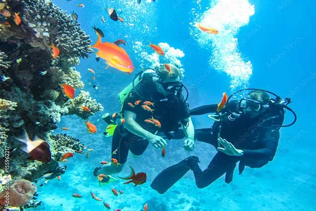 Scuba Diving Sharm El Sheikh (3)