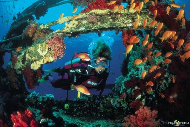 Scuba Diving Sharm El Sheikh (4)