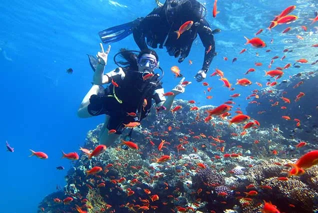 Scuba Diving Sharm El Sheikh (5)