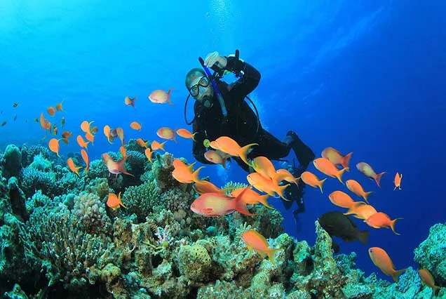 Scuba Diving Sharm El Sheikh (6)
