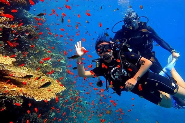 Scuba Diving Sharm El Sheikh (7)