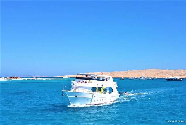 Scuba diving Marsa Alam (1)