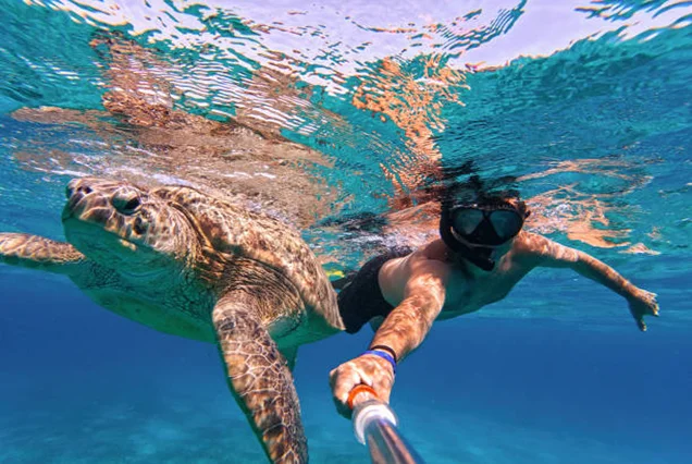 Snorkeling Trip At Port Ghalib Marina from Marsa Alam (4)