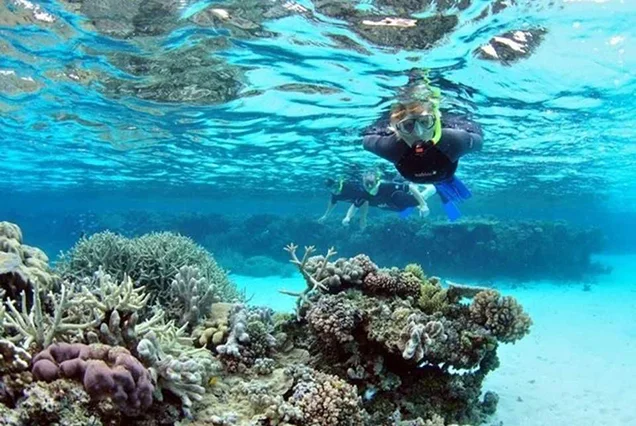 Snorkeling Trip At Port Ghalib Marina from Marsa Alam (6)