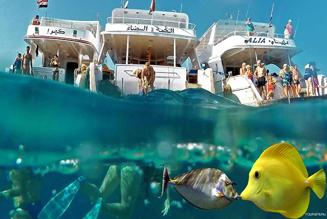 Snorkeling Trip at Hamata Islands From Marsa Alam (1)