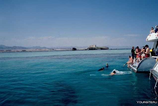 Snorkeling Trip to Tiran Island (2)