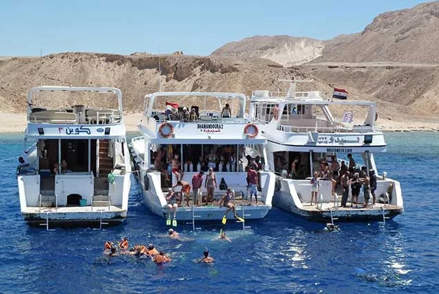 Snorkeling Trip to Tiran Island (6)