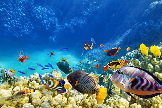 11 Days Cairo, Nile Cruise and Hurghada by Flight (4)